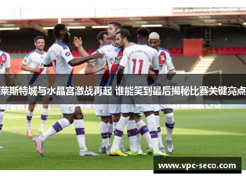 莱斯特城与水晶宫激战再起 谁能笑到最后揭秘比赛关键亮点 莱斯特城与水晶宫激战再起 谁能笑到最后揭秘比赛关键亮点